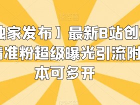 【独家发布】最新B站创业粉精准粉超级曝光引流附智能托管可多开【揭秘】