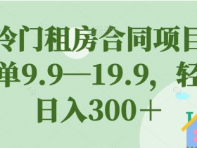 超冷门租房合同项目，一单9.9—19.9，轻松日入300＋【揭秘】