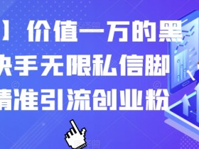 【火爆】价值一万的黑科技快手无限私信智能托管，精准引流创业粉