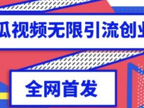 独家首发，西瓜视频无限引流任何精准粉智能托管【智能托管+教程】