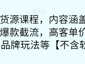 最新无货源课程，内容涵盖了最新的抖音爆款截流，高客单价选品，1688品牌玩法等【不含软件】