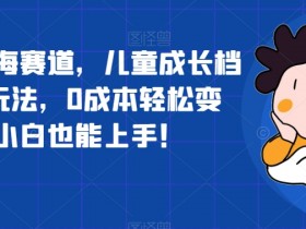 超冷门蓝海赛道，儿童成长档案全新玩法，0成本轻松变现，小白也能上手【揭秘】