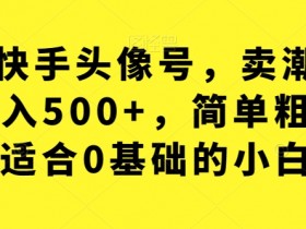 利用快手头像号，卖潮牌也能日入500+，简单粗暴，适合0基础的小白【揭秘】