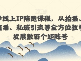 国学玄学线上IP陪跑课程，从拍摄、剪辑、运营、直播、私域引流等全方位教学，快速发展数百个矩阵号