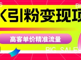 商K引粉变现项目，高客单价精准流量【揭秘】