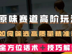 短视频原味赛道高阶玩法，如何筛选高质量精准粉？全方位话术＋技巧解答【揭秘】