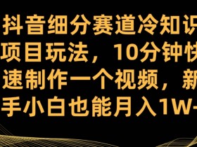 抖音细分赛道冷知识项目玩法，10分钟快速制作一个视频，新手小白也能月入1W+【揭秘】