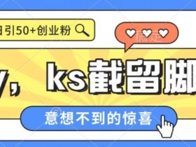 全网首发抖音快手全自动直播间截留创业粉，全行业精准粉技术【智能托管+教程】