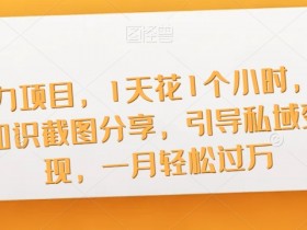 暴力项目，1天花1个小时，玩知识截图分享，引导私域变现，一月轻松过万【截图】