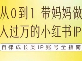 100天小红书训练营【7期】，带你做自媒体博主，每月多赚四位数，自律成长IP账号全指南
