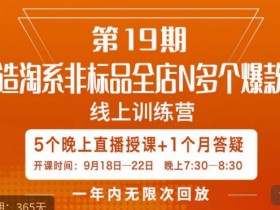 打造淘系非标全店N多个爆款线上课，​5天直播课