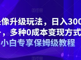 AI头像升级玩法，日入300-500+，多种0成本变现方式，小白专享保姆级教程【揭秘】
