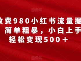 外面收费980小红书流量掘金合伙人，简单粗暴，小白上手也能轻松变现500＋【揭秘】