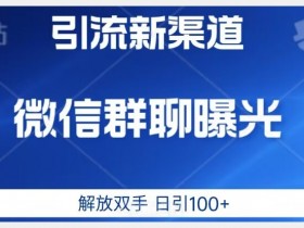 价值2980的全新微信引流技术，只有你想不到，没有做不到【揭秘】
