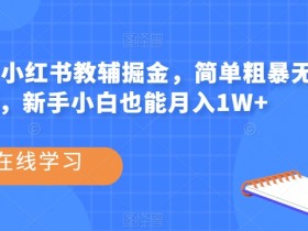 热门蓝海，小红书教辅掘金，简单粗暴无需剪辑，新手小白也能月入1W+【揭秘】
