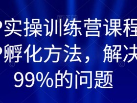百万IP实操训练营课程，完整的IP孵化方法，解决做号99%的问题