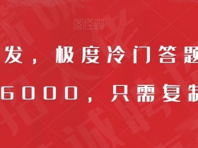 全网首发，极度冷门答题项目，一月6000，只需复制粘贴【揭秘】