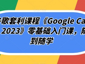 谷歌套利课程《Google Cash 2023》零基础入门课，随到随学