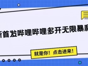 全新首发哔哩哔哩无限多开精准暴利引流，可无限多开，抗封首发精品智能托管