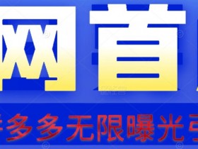 【首发】拆解拼多多如何日引100+精准粉（附智能托管+视频教程）【揭秘】