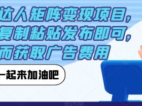 小红书达人矩阵变现项目，只需要复制粘贴发布即可，从而获取广告费用