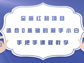 全新红利项目，适合0基础的新手小白，手把手课程教学【揭秘】