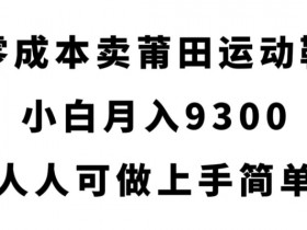 零成本卖莆田运动鞋，小白月入9300，人人可做上手简单【揭秘】