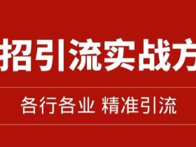 精准引流术：11招引流实战方法，让你私域流量加到爆（11节课完整)