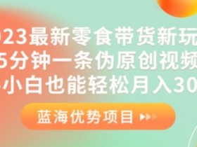 2023最新零食带货新玩法，5分钟一条伪原创视频，新手小白也能轻松月入3000+【揭秘】