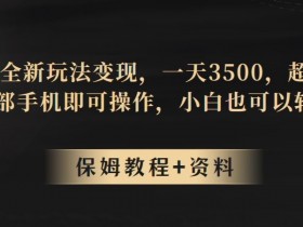 蛋仔派对全新玩法变现，一天3500，超级偏门玩法，一部手机即可操作，小白也可以轻松上手