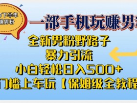 2023全新男粉野路子暴力引流，小白轻松日入500+，全新野路子玩法，0门槛上车玩【保姆级全教程】