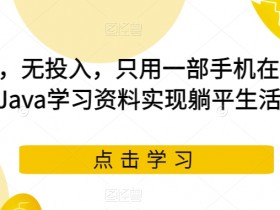 无门栏，无投入，只用一部手机在闲鱼卖Java学习资料实现躺平生活【揭秘】