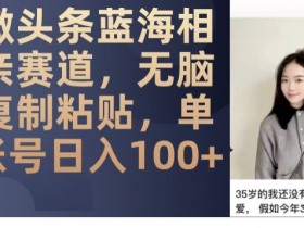 微头条蓝海相亲赛道，无脑复制粘贴，单账号日入100+