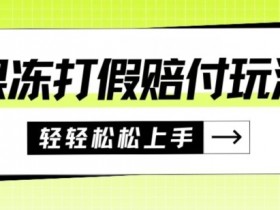 果冻食品打假赔付玩法，一单收益上千【详细视频玩法教程】【仅揭秘】