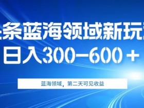 AI头条野路子蓝海领域新玩法2.0，日入300-600＋，附保姆级教程【揭秘】