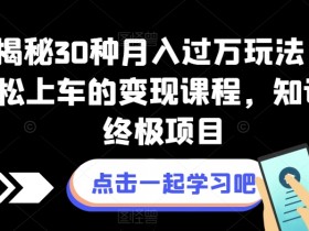 独家揭秘30种月入过万玩法，让小白轻松上车的变现课程，知识付费终极项目【揭秘】