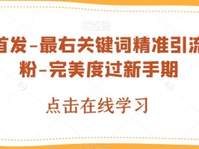 全球首发-最右关键词精准引流创业粉-完美度过新手期【揭秘】