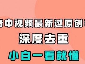 抖音中视频最新过原创教程，深度去重，小白一看就懂【揭秘】