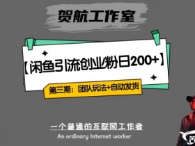 第三期：暴力引流，无脑搬运，闲鱼创业粉引流一天200+，更新全自动发货的团队闭环模式【揭秘】