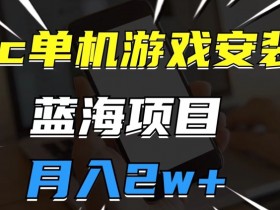 pc单机游戏安装包，蓝海项目，操作简单，小白可直接上手，月入2w【揭秘】