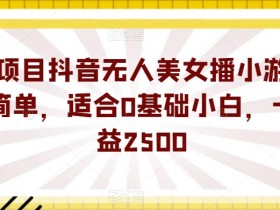蓝海项目抖音无人美女播小游戏，操作简单，适合0基础小白，一周收益2500【揭秘】