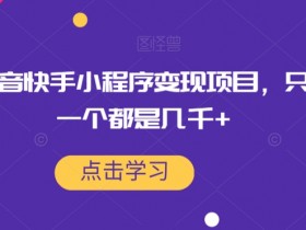 最新抖音快手小程序变现项目，只要爆一个都是几千+