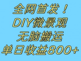 全网首发冷门赛道！DIY微景观，无脑搬运视频，日收益800+【揭秘】