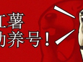 小红书养号秘籍，如何自动涨粉清晰系统标签打造高权重账号【揭秘】