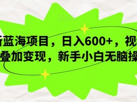 新蓝海项目，日入600+，视频号叠加变现，新手小白无脑操作【揭秘】