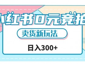 小红书0元竞拍，文玩卖货新玩法，一天轻松300+【揭秘】