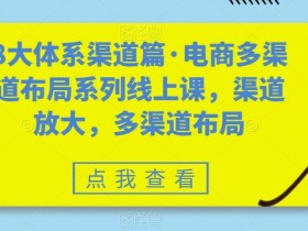 8大体系渠道篇·电商多渠道布局系列线上课，渠道放大，多渠道布局