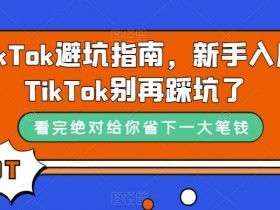 TikTok避坑指南，新手入局TikTok别再踩坑了
