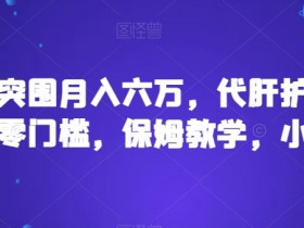 靠暗区突围月入六万，代肝护航多种变现，零门槛，保姆教学，小白必入【揭秘】