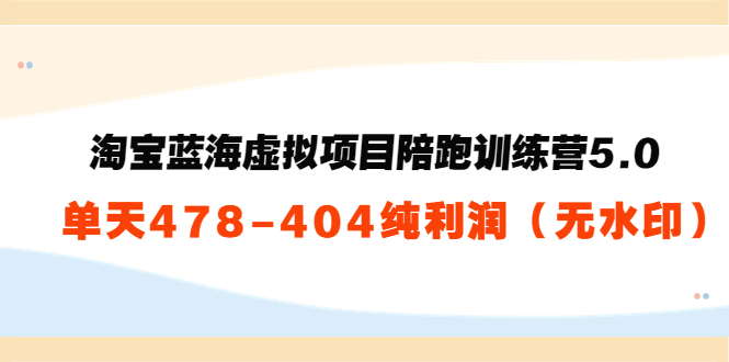 淘宝蓝海虚拟项目陪跑训练营5.0：单天478纯利润（无水印）